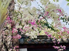 -深圳国际园林花卉博览园