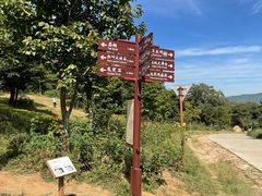 -北京西山国家森林公园