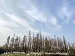 -艾溪湖湿地公园