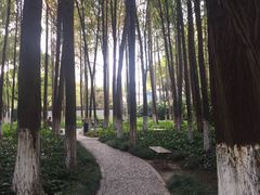 -瀛洲公园