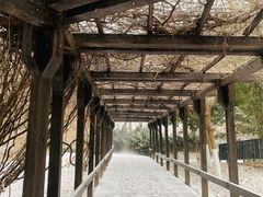 -大连植物园