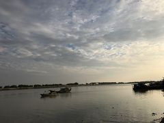 -大湾区中央湿地公园-十九涌
