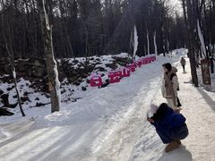 -洛阳白云山景区