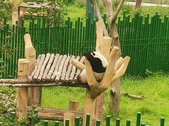 -沈阳森林动物园