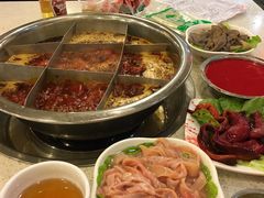 -朱氏胖子烂火锅(洪崖洞店)