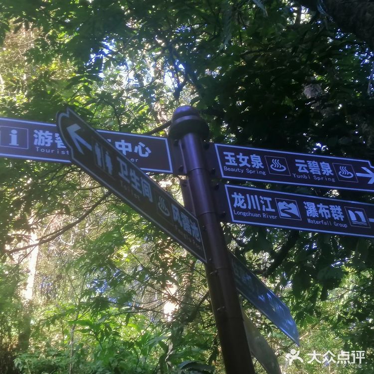 腾冲樱花谷森林温泉