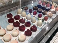 -法桐蛋糕·手作面包(万象城店)