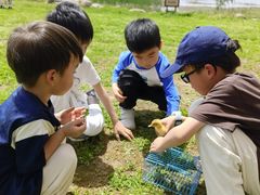 -九龙湖公园