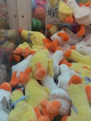 -莫莉幻想儿童乐园(北京天通苑华联店)