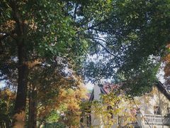 -上海理工大学(复兴路校区)