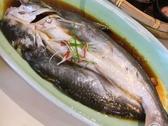 深海湄公鱼-淀里船宴(卓达店)