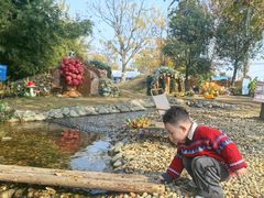 -HERRE·FARM 赫尔露营农场·团建聚会包场