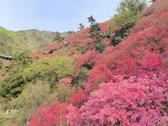-木兰云雾山