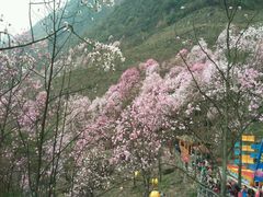 景点-九皇山景区