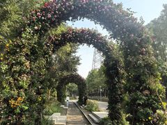 -永定河休闲森林公园