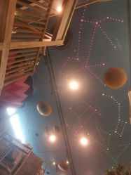 -卡通尼·Safari非洲探索乐园·生日会(金桥国际商业广场店)