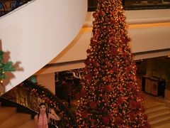 -深圳香格里拉酒店