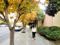 -木塔寺遗址生态公园