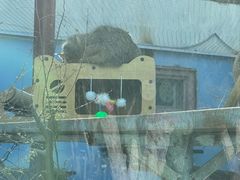 -青藏高原野生动物园