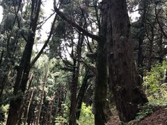 -七曲山风景区