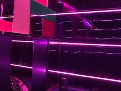 -乐圣量贩KTV自助餐(崇文店)