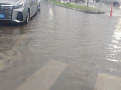 -海合安武汉极地海洋公园