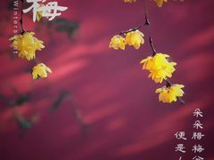 -钱王祠