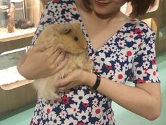 -藦茜花园宠物主题亲子互动体验馆(国顺东路店)