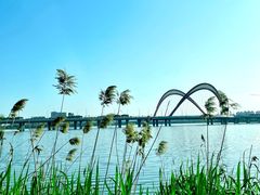 -艾溪湖湿地公园