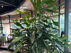 -盐帮食坊•小河帮川菜(四川师大店)