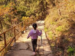 -北京上方山国家森林公园