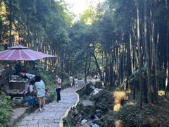 -莫干山风景区