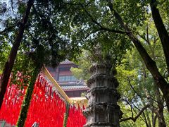 -灵隐飞来峰景区