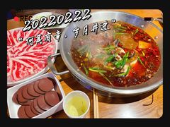 -红牌美蛙鱼头火锅(万辉国际广场店)