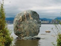 -洱海月湿地公园