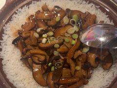 -桂满陇·海市蜃楼·黑金(国金店)