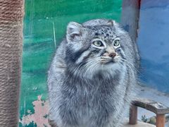 -青藏高原野生动物园