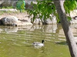 -大望京儿童游乐场