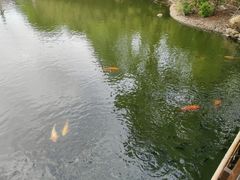 -厦门园林博览苑