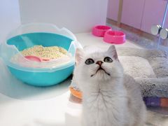 -龟与熊猫宠物公园(南坪店)
