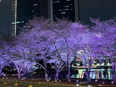 -西北湖绿化广场