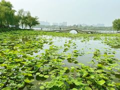 -济南大明湖景区
