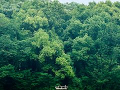 -艾溪湖湿地公园