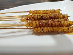 -五娃子烧烤(人民路150号院店)