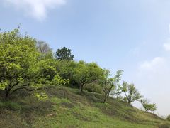 -苏州上方山国家森林公园