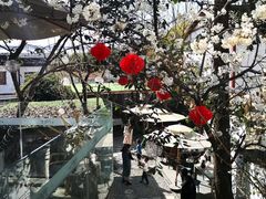 -云里小坐·小院里·团建·宴请·下午茶(三圣乡店)