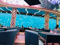 -瑞德姆美人鱼海底演艺主题餐厅(亚龙湾店)