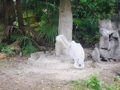 -深圳野生动物园