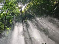 -呀诺达热带雨林