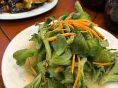 冰草-土菜水饺村(宁夏路店)